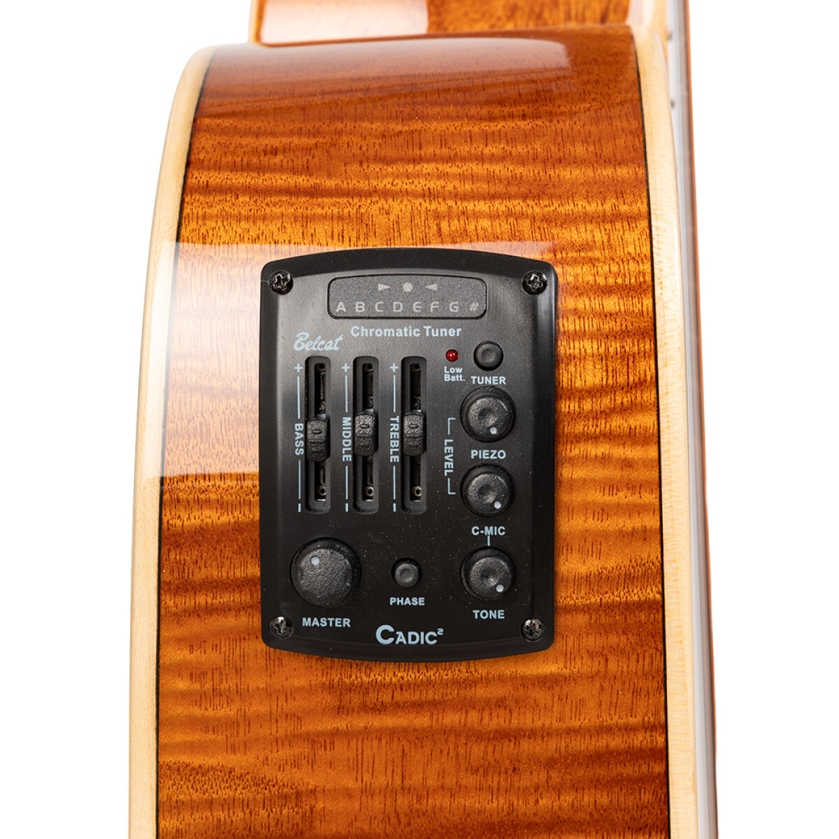 Acoustic guitar SA45 DCE-FM/12P (12-strings)