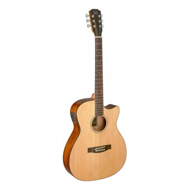 Electro Acoustic guitar James Neligan BES-ACE N