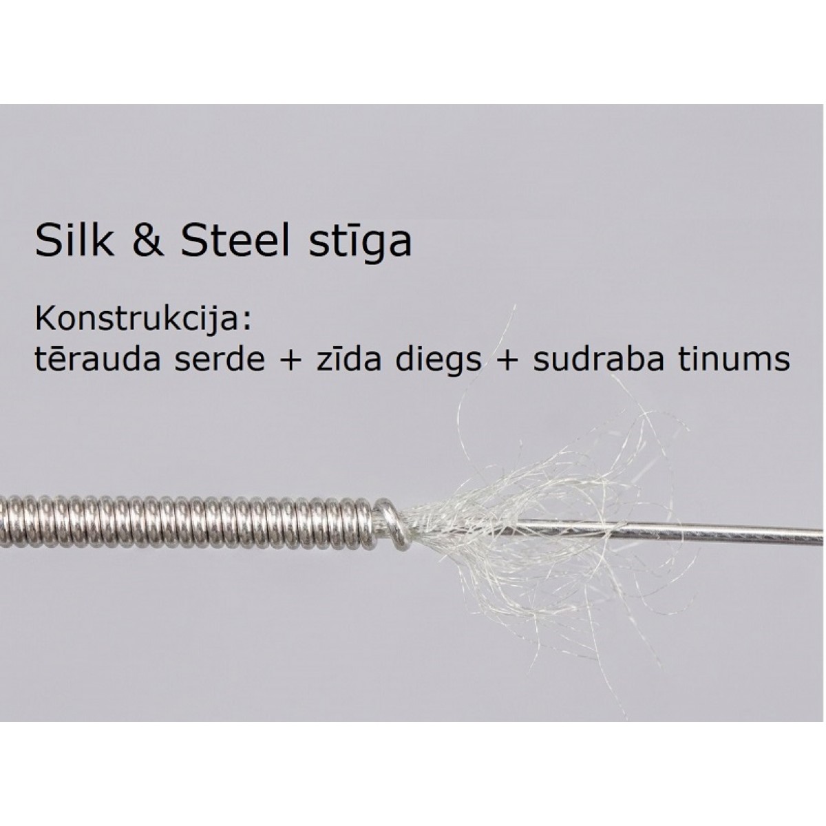 Akustiskās ģitāras Pyramid 11-46 Silk & Steel Silver (Vācija)