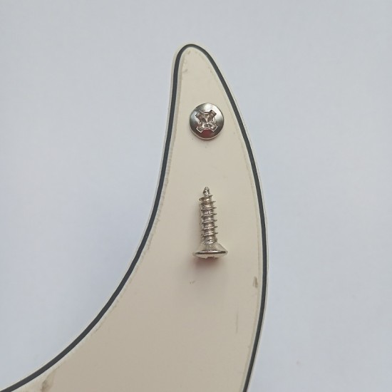 Electric guitar pickquard screw M3x12 NI diameter 6 mm