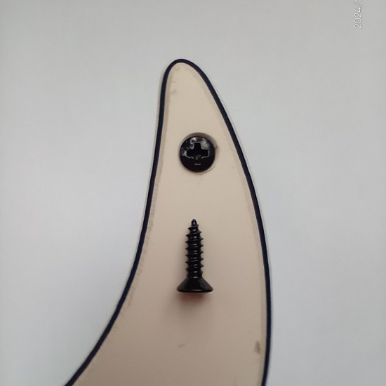 Electric guitar pickquard screw M3x12 BK diameter 5 mm