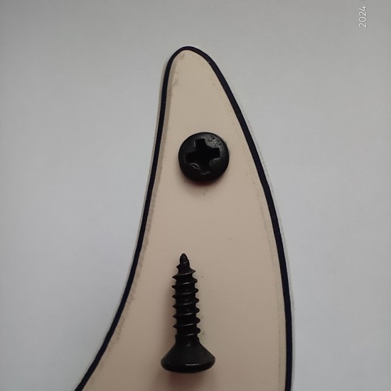 Electric guitar pickquard screw M3x12 BK diameter 6 mm