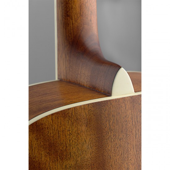 Acoustic guitar James Neligan ASY-D