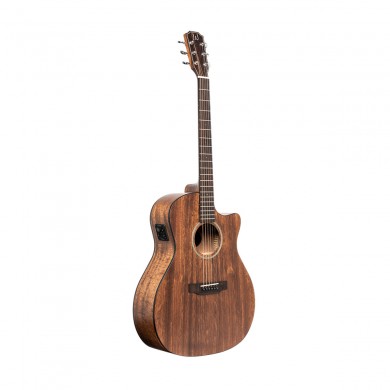 Acoustic-electric guitarJames Neligan DOV-ACFI