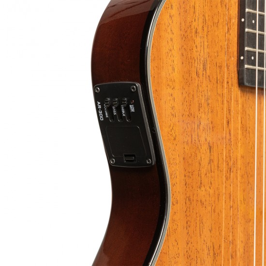 Electric classical guitar Angel Lopez EC3000 MAHO N (4/4)