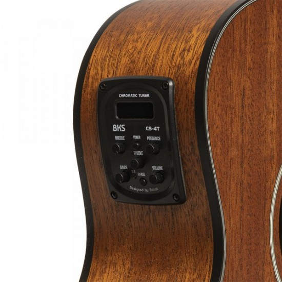 Acoustic-electric guitar James Neligan OLO-CE N