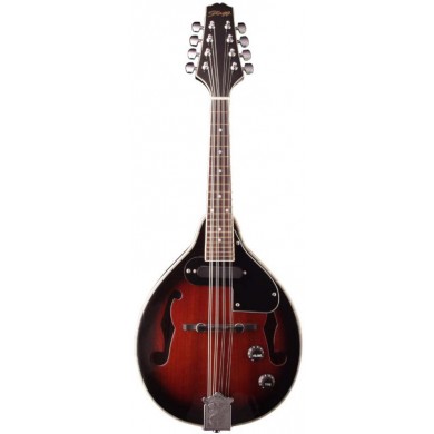 Mandolin Stagg M50 E