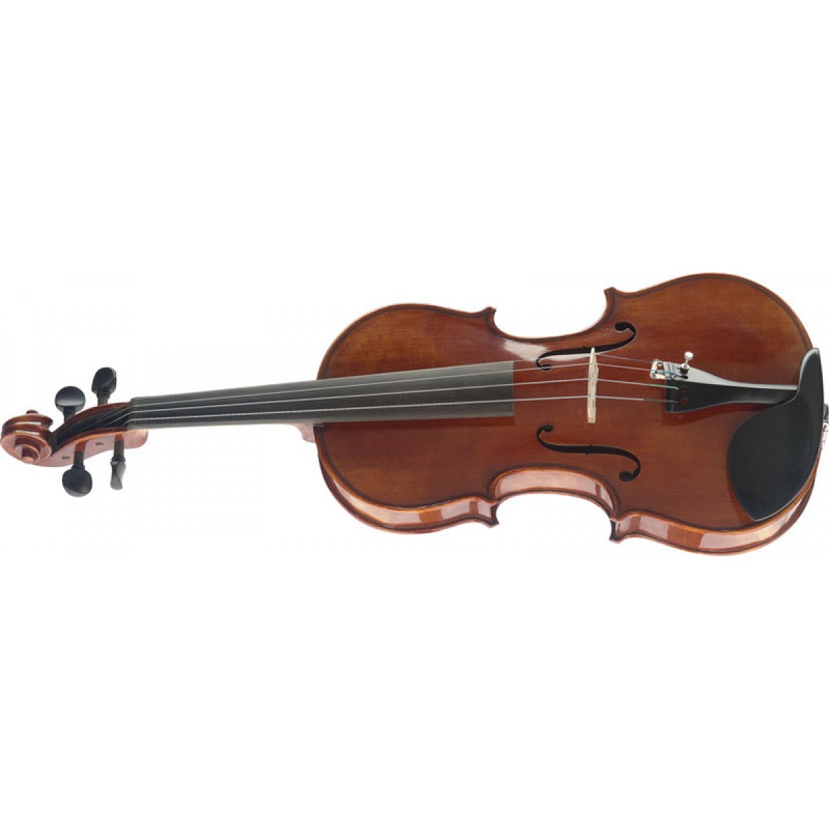 Vijole Stagg VN-4/4 HG