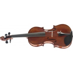 Vijole Stagg VN-4/4 HG