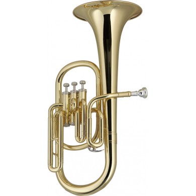 Alto Horn Stagg WS-AH235S